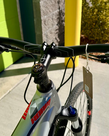 2020 Giant Roam 2 Disc – Certified Pre-Owned by Downrange Bike Works