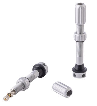Teravail Alloy Tubeless Valves - Pair, 48mm, Matte Silver