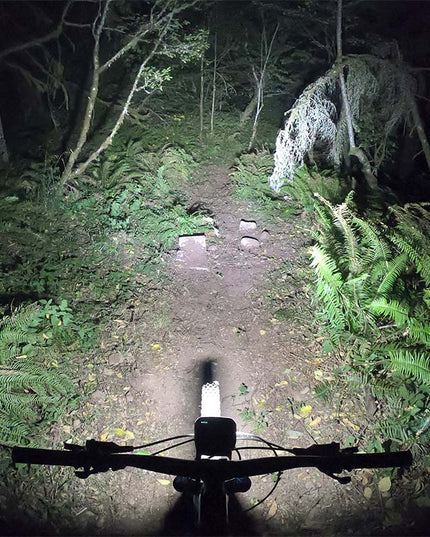 Outbound Trail Evo Bike Light