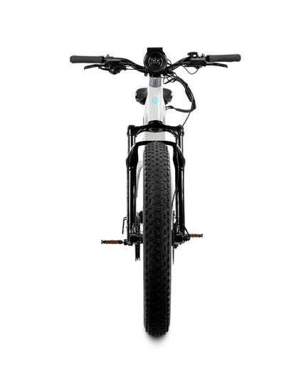 Lectric XPeak 2.0 Step-Thru Long Range: The Award-Winning All-Terrain eMTB